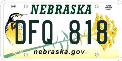 NE license plate DFQ818