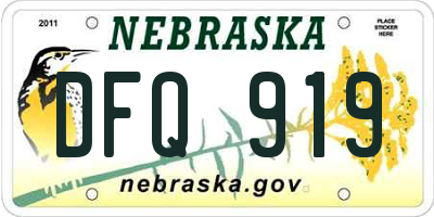 NE license plate DFQ919