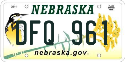 NE license plate DFQ961