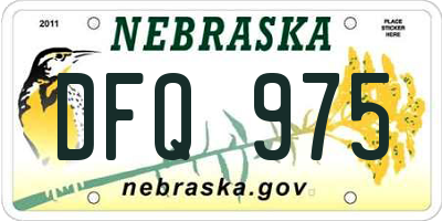 NE license plate DFQ975
