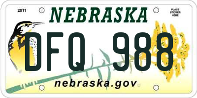 NE license plate DFQ988