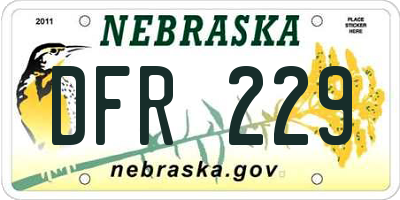 NE license plate DFR229