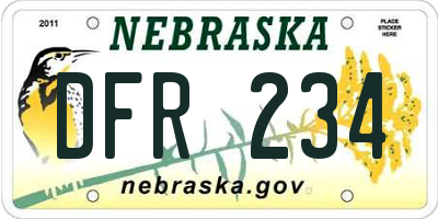 NE license plate DFR234
