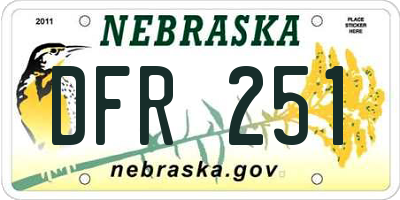 NE license plate DFR251