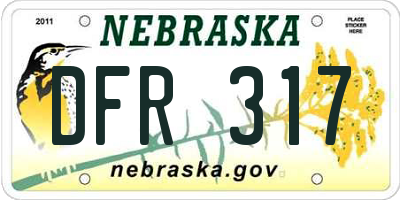 NE license plate DFR317
