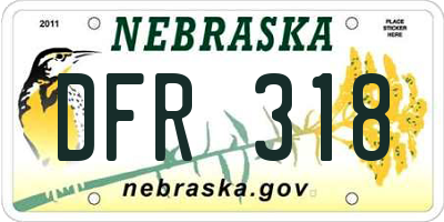 NE license plate DFR318