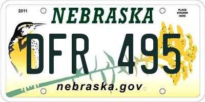 NE license plate DFR495
