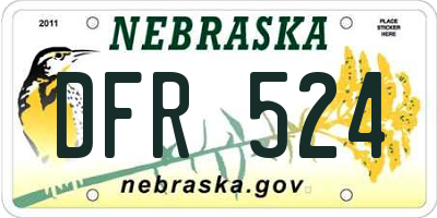 NE license plate DFR524
