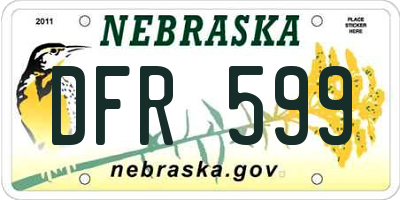 NE license plate DFR599