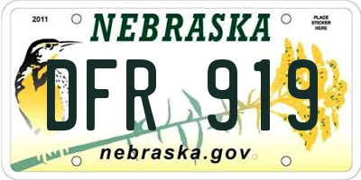 NE license plate DFR919