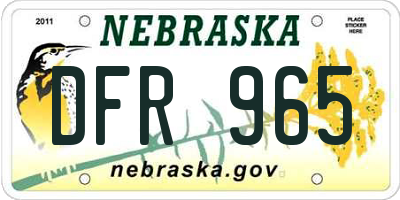 NE license plate DFR965