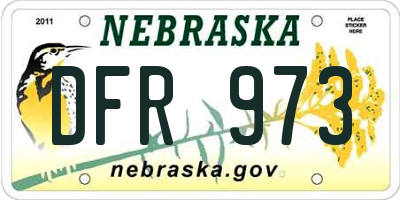 NE license plate DFR973