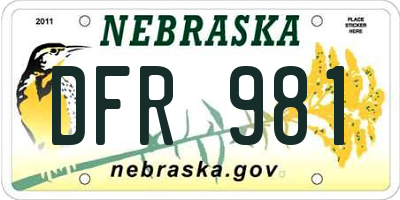 NE license plate DFR981