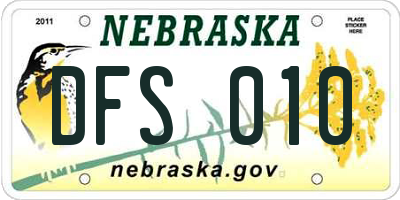NE license plate DFS010