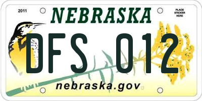 NE license plate DFS012