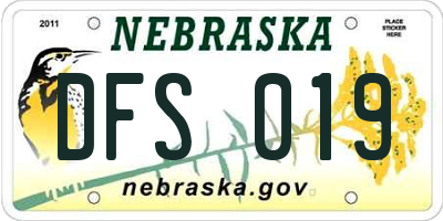 NE license plate DFS019