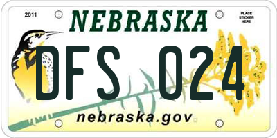 NE license plate DFS024
