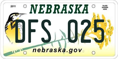 NE license plate DFS025