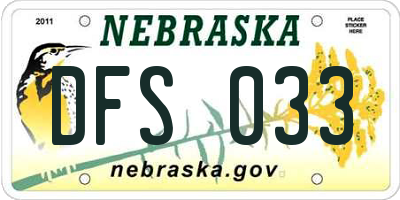 NE license plate DFS033