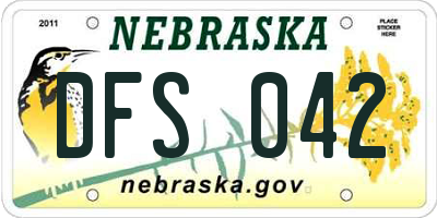 NE license plate DFS042