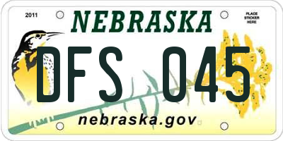 NE license plate DFS045