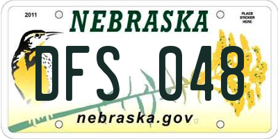 NE license plate DFS048
