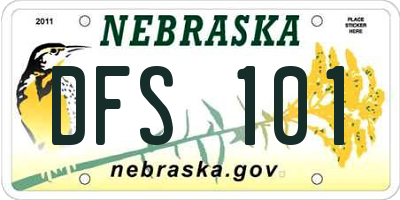 NE license plate DFS101