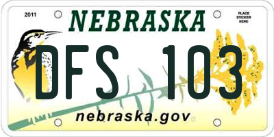 NE license plate DFS103