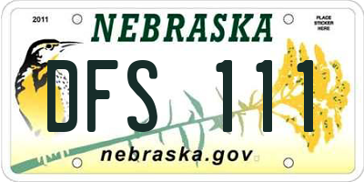 NE license plate DFS111