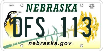 NE license plate DFS113