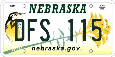 NE license plate DFS115