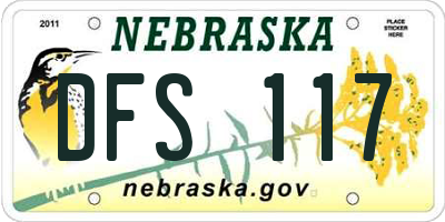 NE license plate DFS117