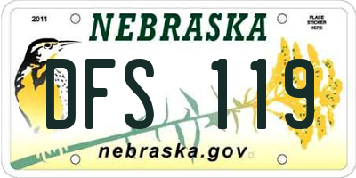 NE license plate DFS119
