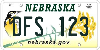 NE license plate DFS123
