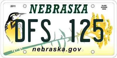 NE license plate DFS125