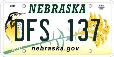 NE license plate DFS137