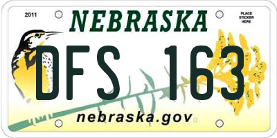 NE license plate DFS163