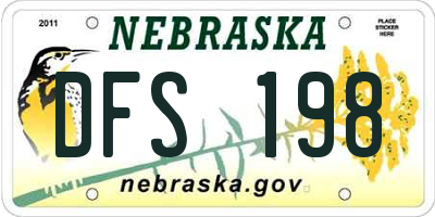 NE license plate DFS198