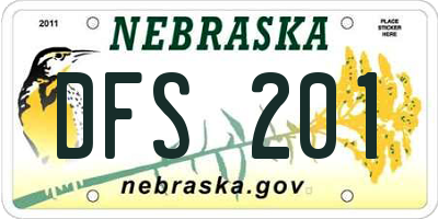 NE license plate DFS201