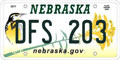 NE license plate DFS203