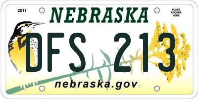 NE license plate DFS213