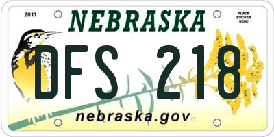 NE license plate DFS218