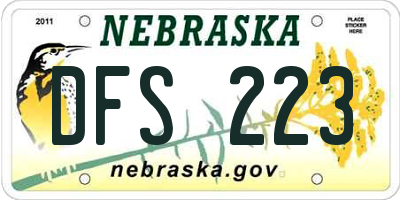 NE license plate DFS223