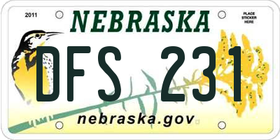 NE license plate DFS231