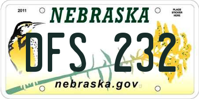 NE license plate DFS232