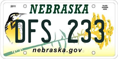 NE license plate DFS233