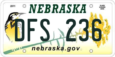 NE license plate DFS236