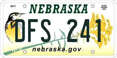 NE license plate DFS241