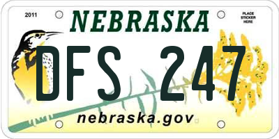 NE license plate DFS247