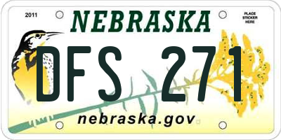 NE license plate DFS271